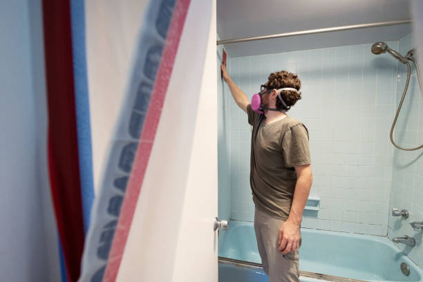 Reliable Grants, NM Mold Removal Solutions